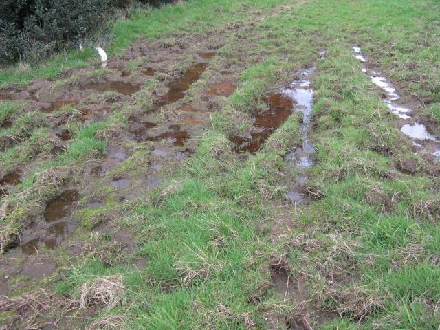 A puggy bog. Cambridge Tree Trust